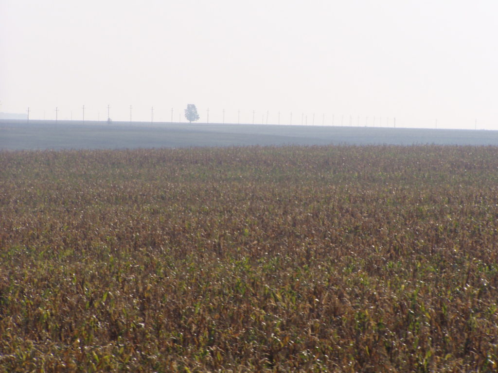 Deshalb sagt man "Ab in die Wallachei"!