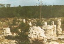 Varna (Варна) Steinerner Wald in der Nähe von Varna