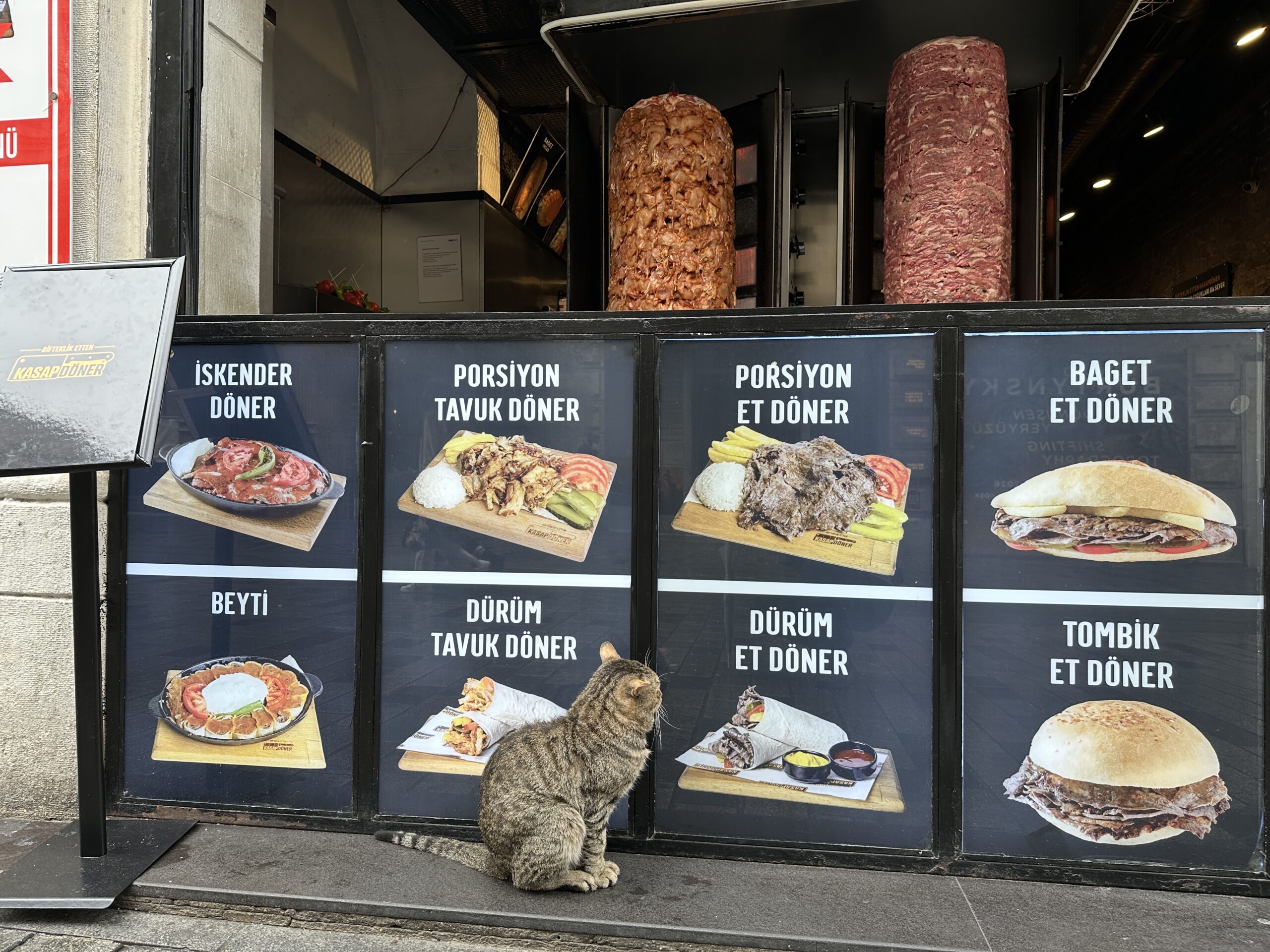 Dieses Katzentier wartet darauf, bestellen zu können. Offensichtlich hat es sich für einen Dürüm Döner entschieden
